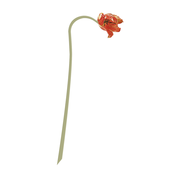 Bloem 'Tulp' Rijksmuseum